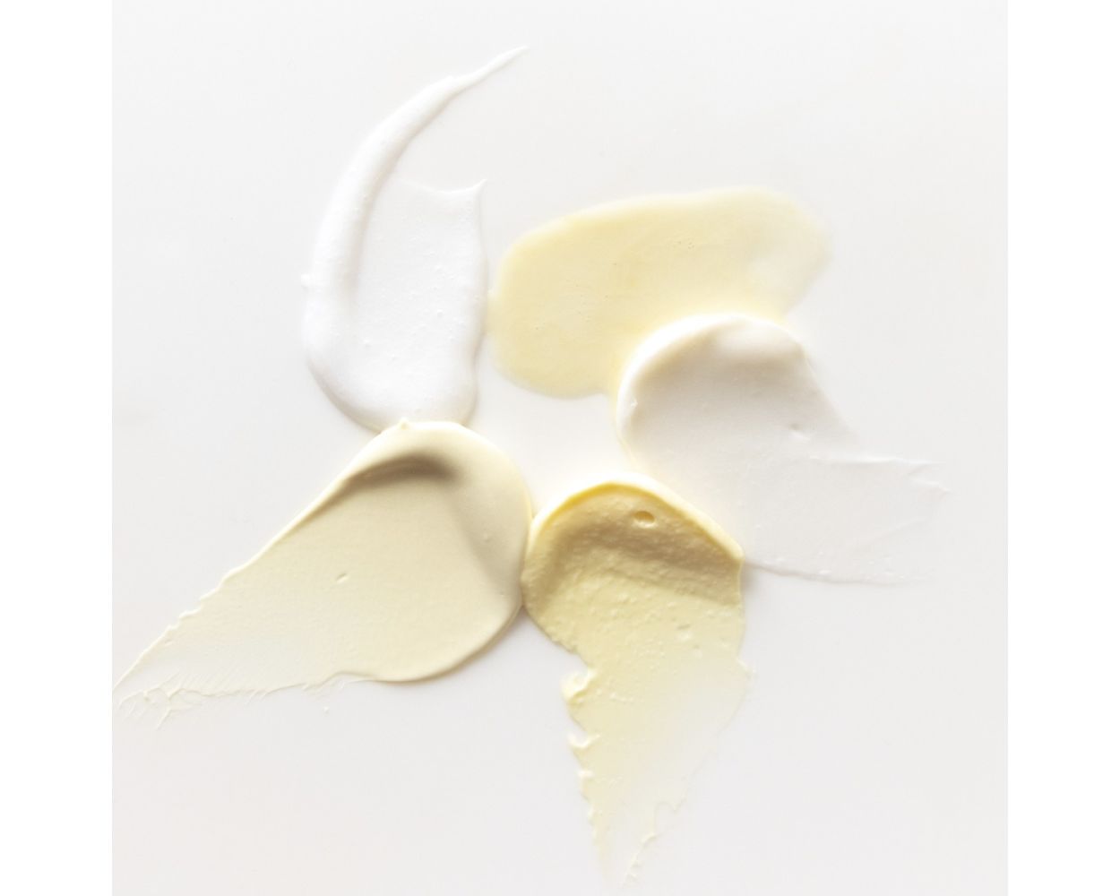 
                  
                    Starter Skin Care Management System
                  
                